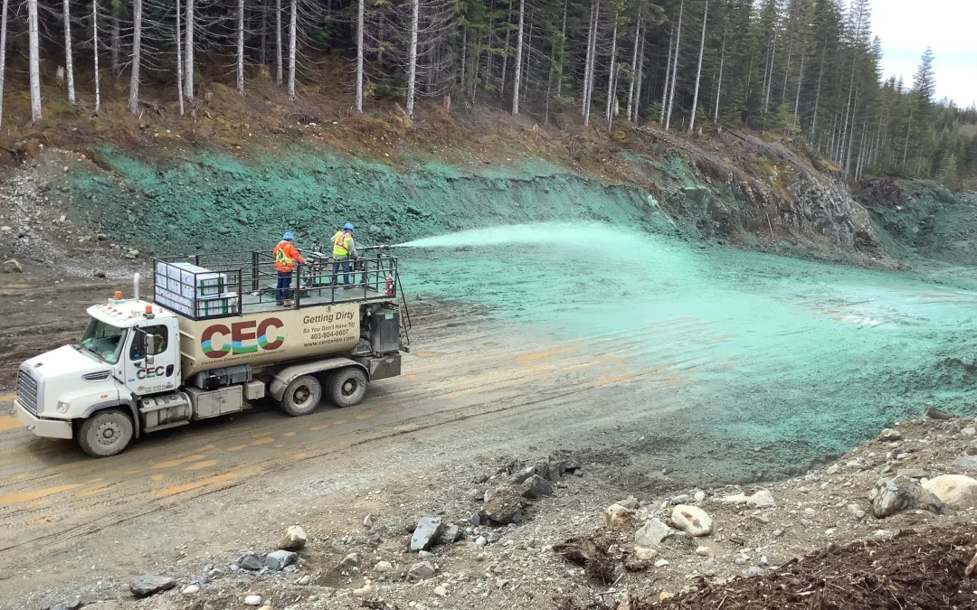 Keys to Successful Hydroseeding Projects