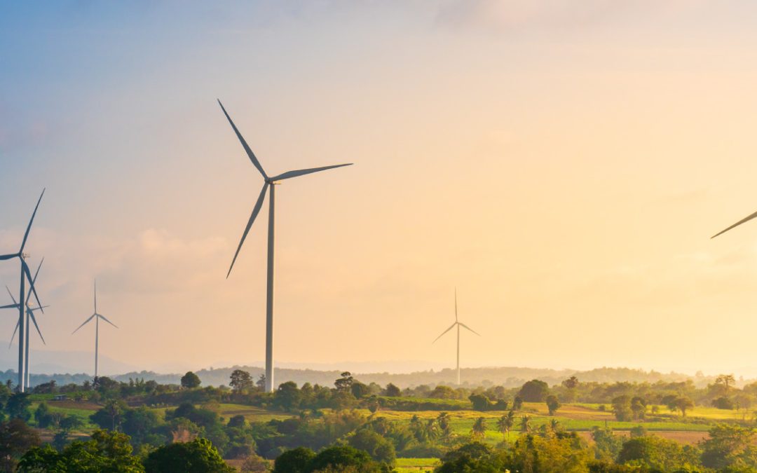 Environmental Protection for Renewable Projects in Western Canada